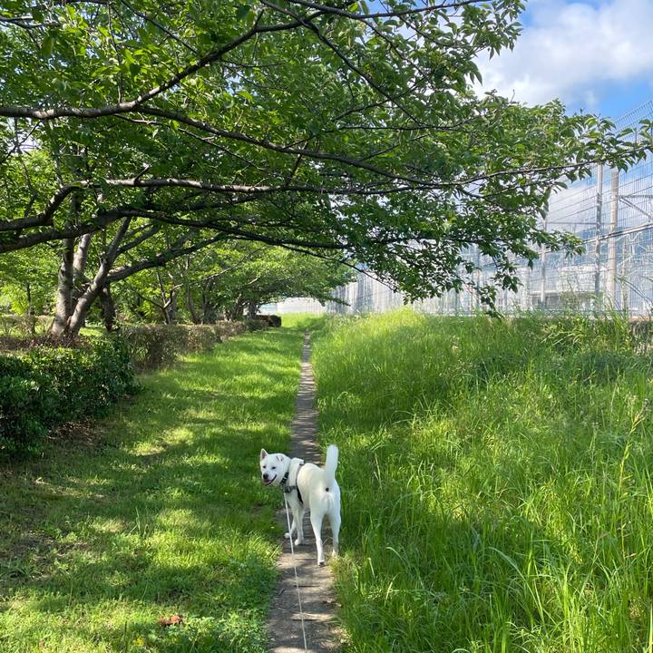 42cf8e76 6fb7 40f1 bc18 8eb79326ebac 1751155271203