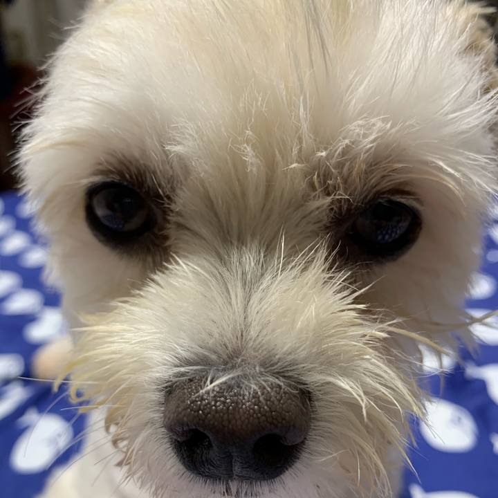 42cf98b1 b1bc 44ac 9462 3298c9a78255 1595682232255