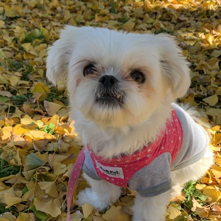 42cf99aa 8e9f 4f4f 8dad a0c183174036 1701939755058