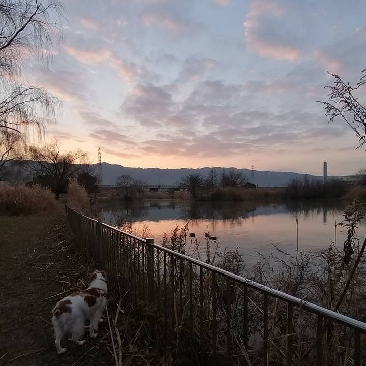 42cfab28 ad36 4d29 b624 fc03f53d60c6 1579477711001