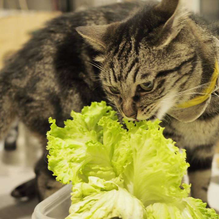 42cfb29f 51db 4d8c a21e 7aec24b24760 1720583477228