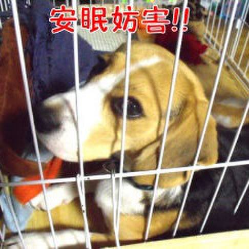 42cfb3fe 07d5 4e86 a79c 27221ffcca2b 1685923889475