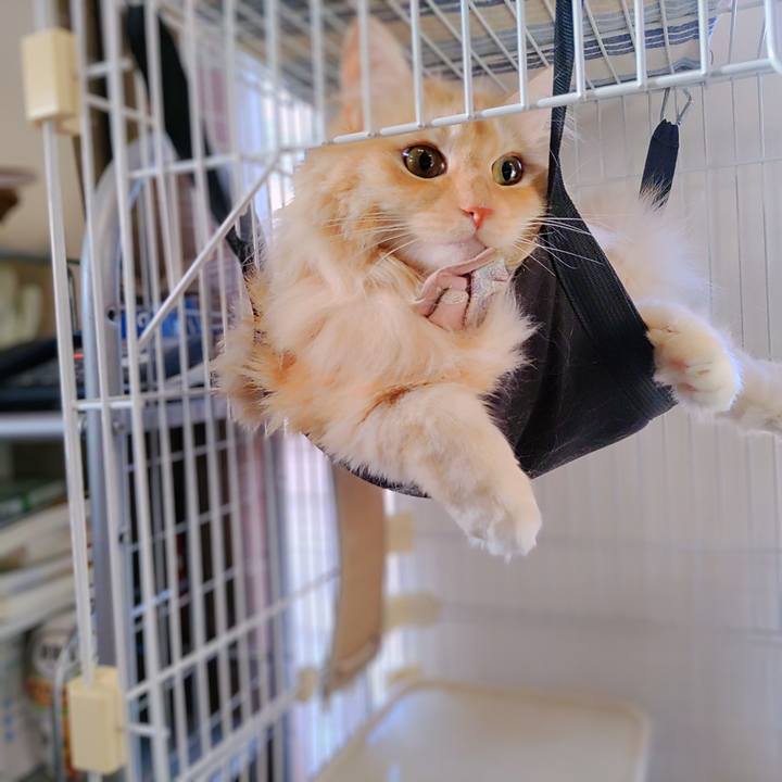 42cfbcaf e378 4232 818d 1166ca745db3 1724020586480