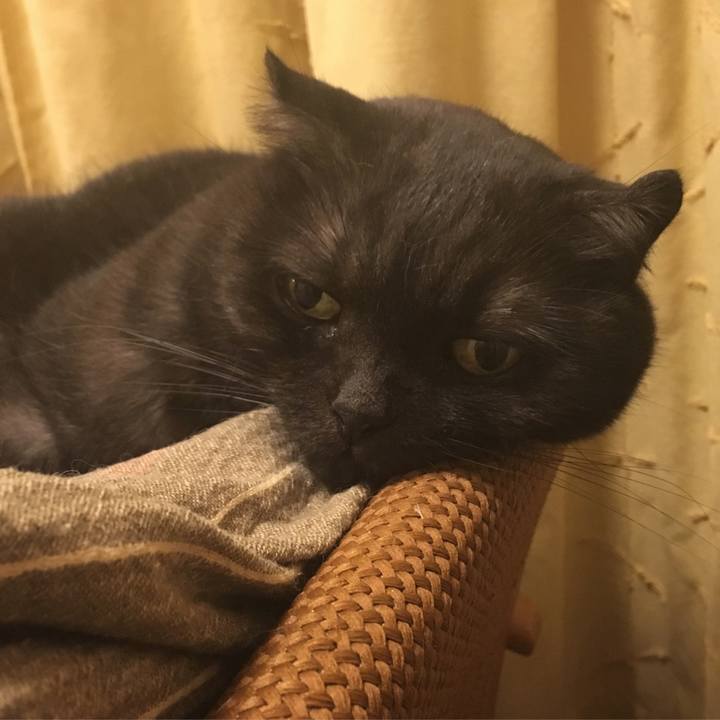 42cfd0bc 385c 4de6 89e4 1976270c57c5 1534613204879