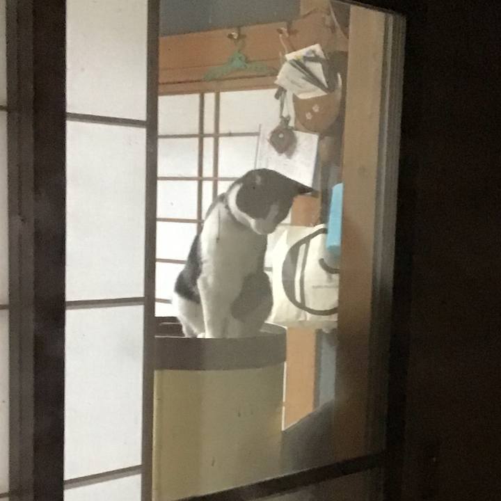 42cfdbae 79ab 4f11 848e 293161eb3532 1643448482626