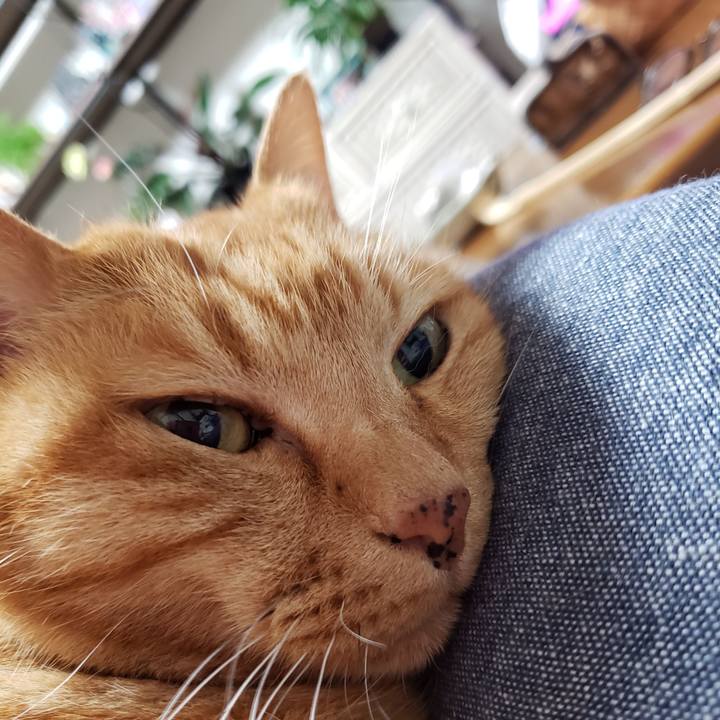 42cfdbd1 5dab 41d4 81b2 d895d6518461 1715944335372