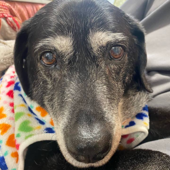 42cff3cb 2ebd 4948 a5e3 a697f921a1d2 1743398228493