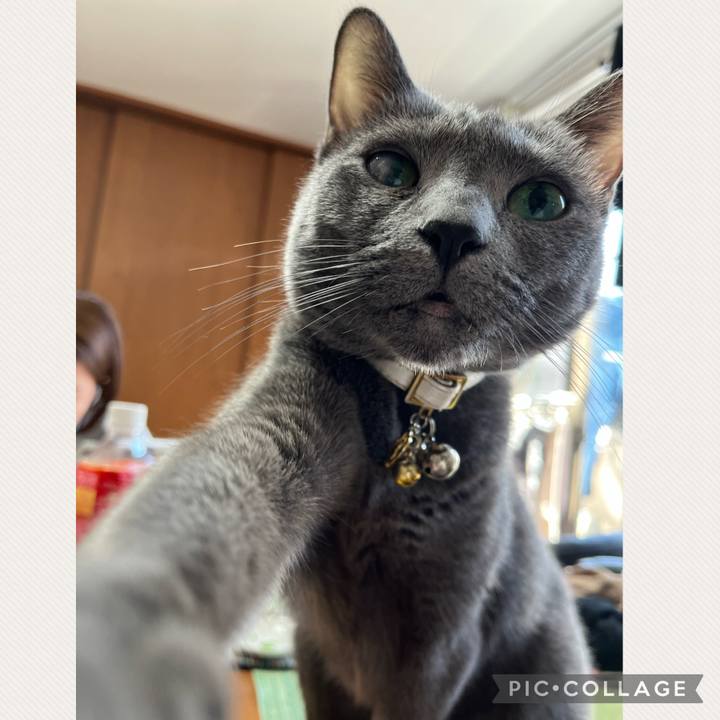 42cffc1f 9d1e 4ccb 8432 7b9c393dd736 1681202377878