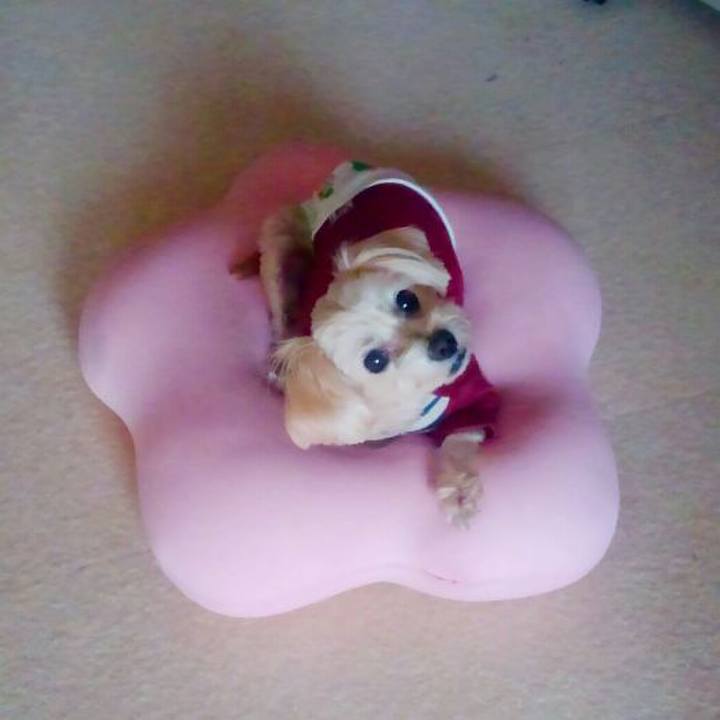 42d0167b 25ad 4b68 95c0 e8da9ef4192b 1548887912802