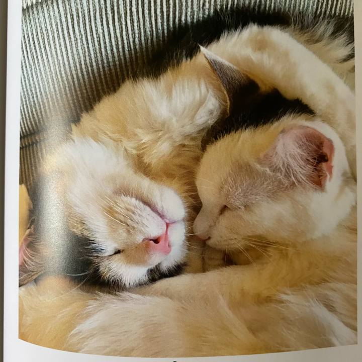 42d028f0 d437 4e1d 93c8 bf77de092b2b 1664405341577