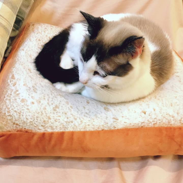 42d02df9 1eef 40dc a47d 0db5813e32a7 1522978665507