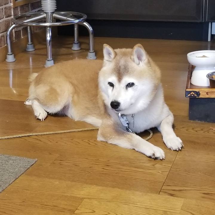 42d03c8f c8a4 4bc0 a855 068e8cf965b9 1728603382972