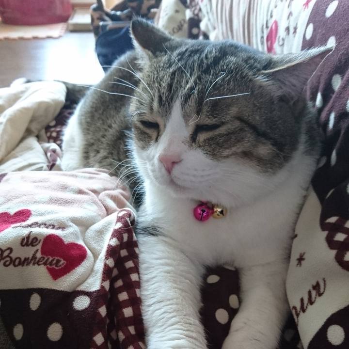 42d07f78 8102 4809 9702 370af772af88 1553761097026