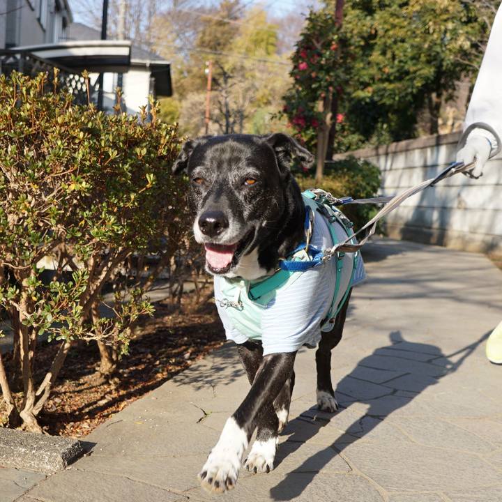 42d08498 747a 4000 9ee7 364574bb6ac6 1771720140450