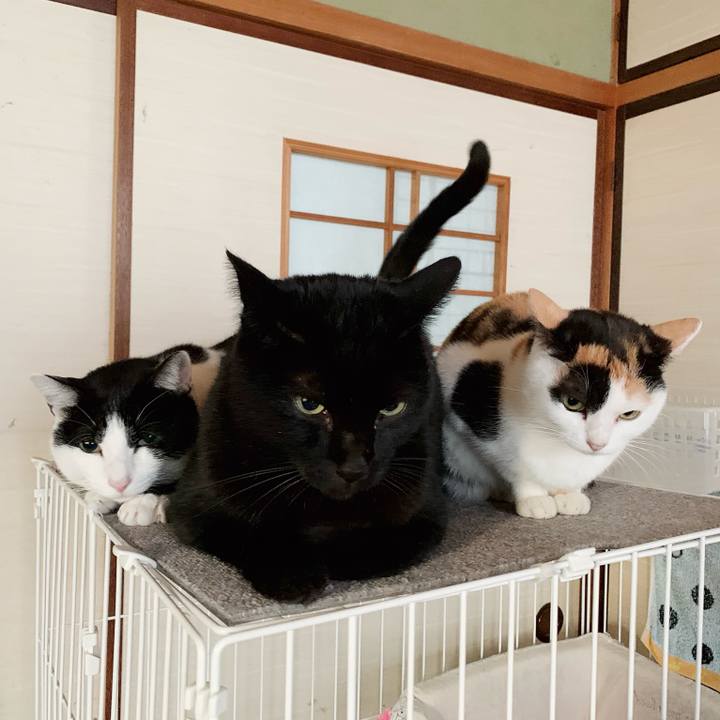 42d09e97 c8d8 4469 b6c7 58429bf96ffb 1545530253082