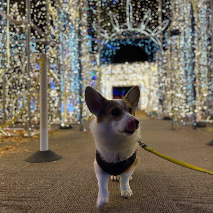 42d0cf28 9f7e 4d73 828b 64edcdba051a 1766402909397