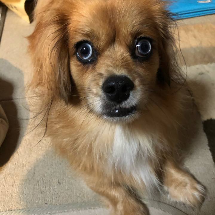 42d0e480 b1e6 4494 907a 4475ab49e98f 1571956909238