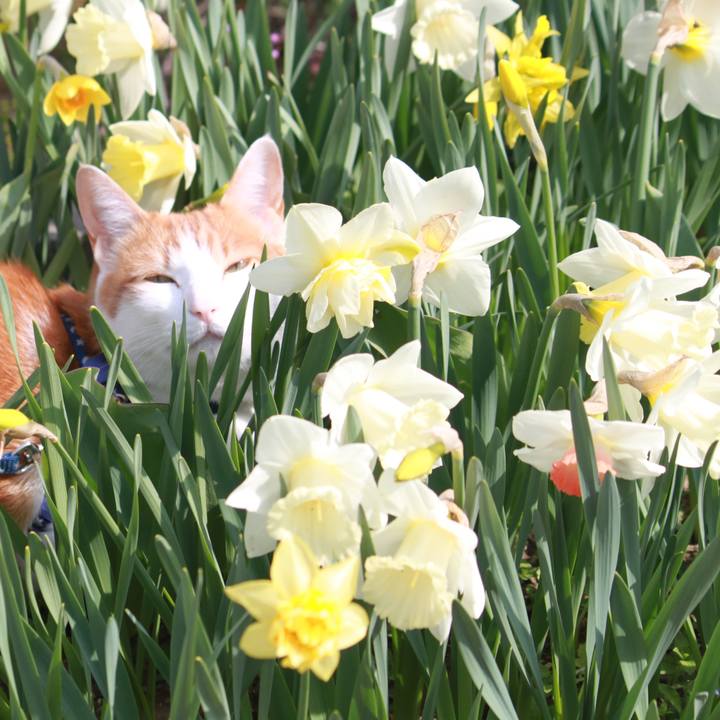 42d0ec2e d1c3 4a72 8da5 9fbc88b56d5d 1523518174069