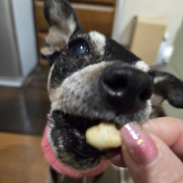 42d1243c 3226 4c8a 916c 681e6b7b3d5f 1774122617939