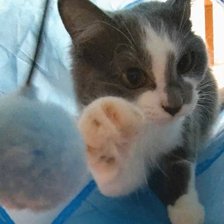 42d13c18 192c 48fb 992c 1d0cc3f6ade8 1573980394714