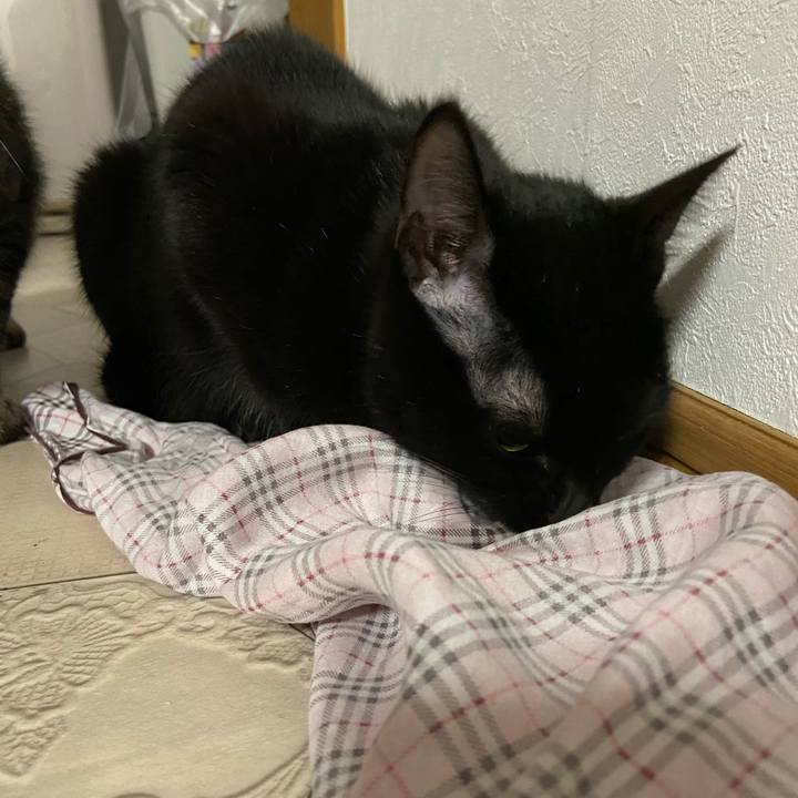 42d15b6d 5bde 4760 a7d7 6a4f857995d4 1618225811179