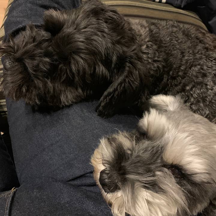 42d175ec 8976 4a38 be5c 287ce82db55c 1605946342479