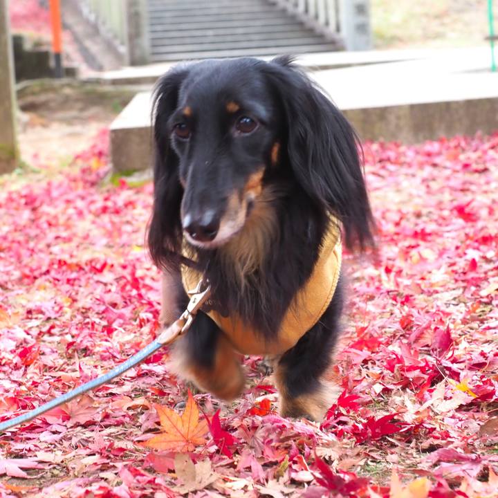 42d18f09 e674 45cc 9a4e 1c75b6e77c75 1669610977495