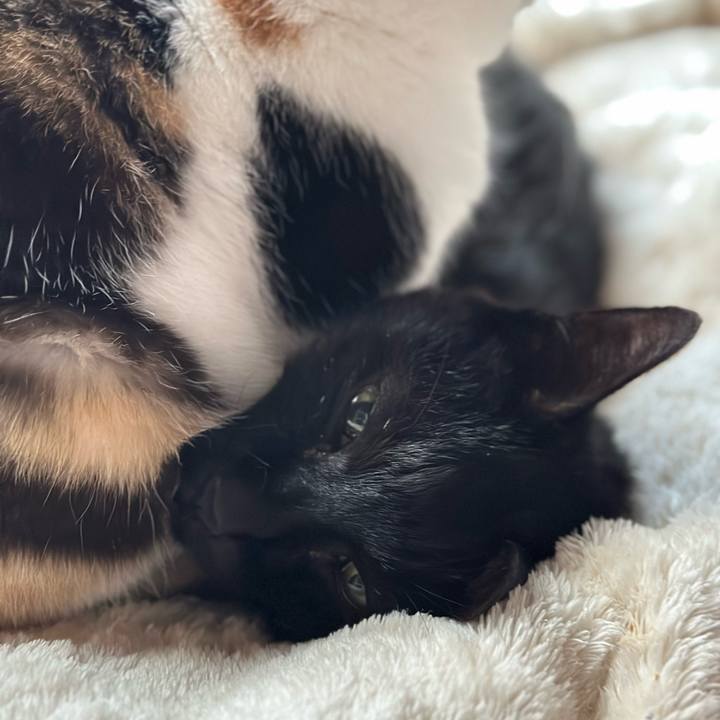 42d1a036 412a 469b a5f9 9fdf256d1ed0 1709257239829