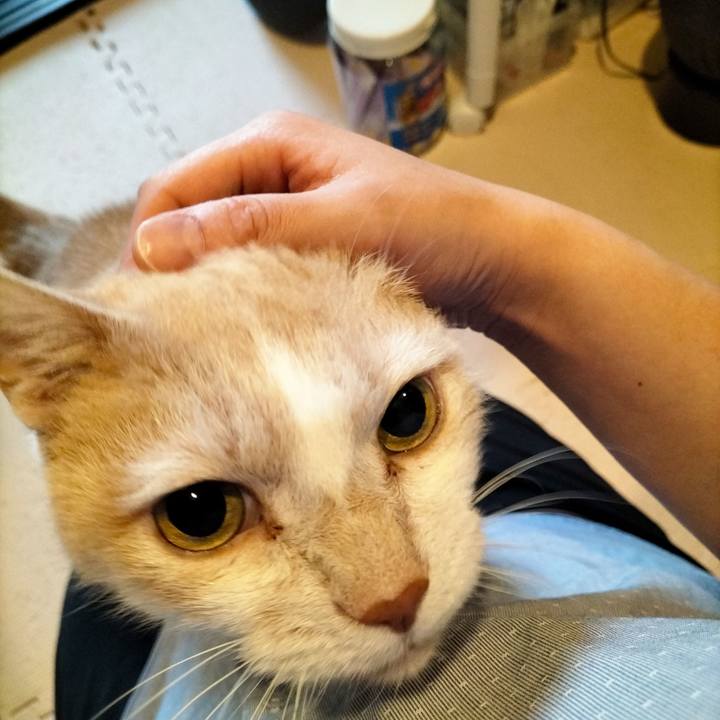 42d1a3b1 fe2c 4ddd aace 2bd54ef9755b 1671746724585