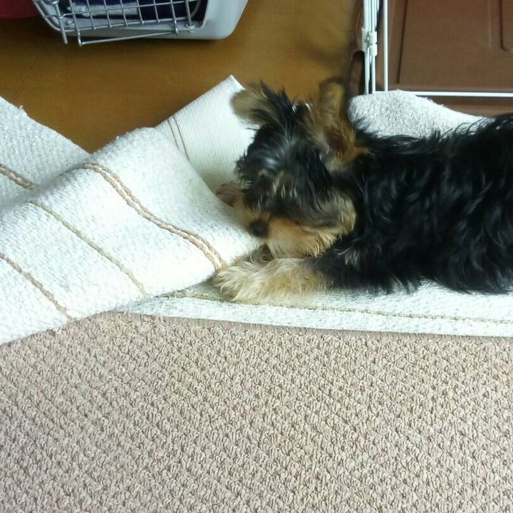 42d1c045 fc6d 4e6b 9738 7e86dd952aa5 1531200152291