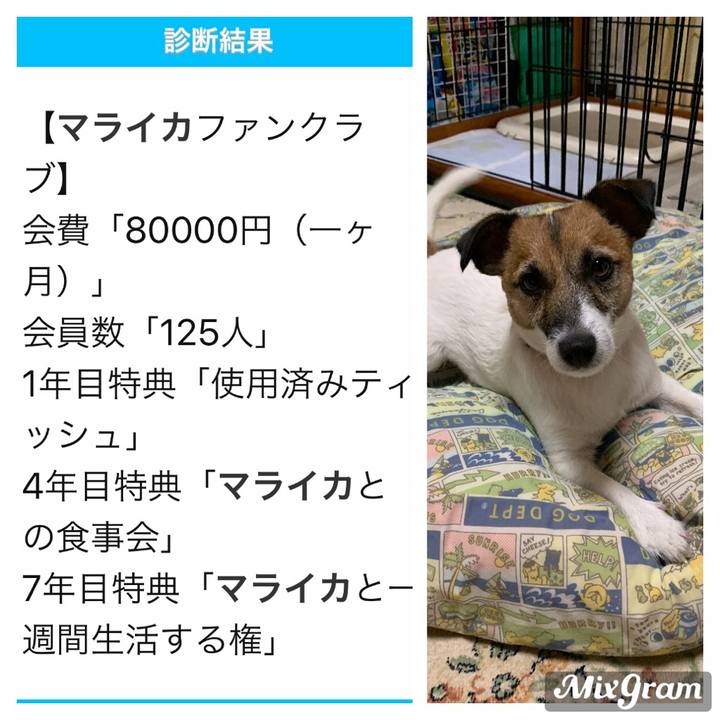 42d1e7e9 dfab 40e6 838d 0df92fd76f87 1568335835939