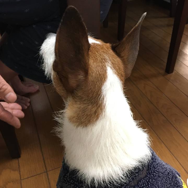 42d1f4e3 a78c 49c8 ae06 a7cb4a90fc10 1580426731230