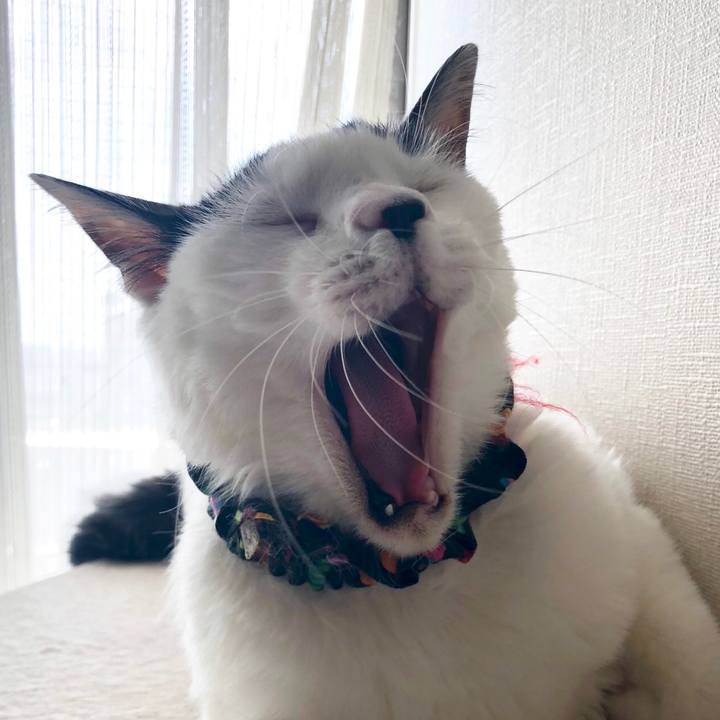 42d2369d ee8f 454e a837 769808ecbd20 1531546950260