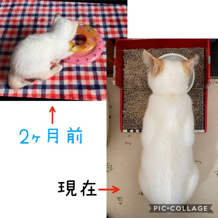 42d26cc5 0c18 4385 8423 199c61b27b63 1578800800243