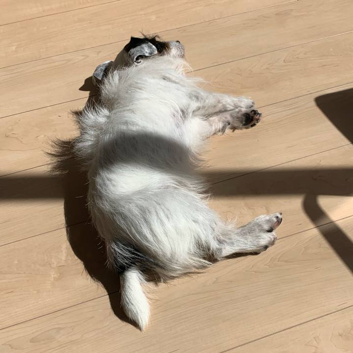 42d27b45 b982 43c5 9009 ac16e60c2f53 1710735411373