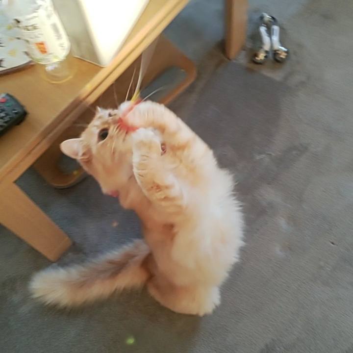 42d284aa d247 4231 9201 d1399cd31ba6 1666220492467