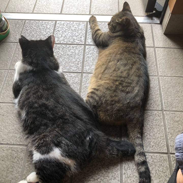 42d28c12 a727 42bc a73d 69c3c30e980b 1531298340069