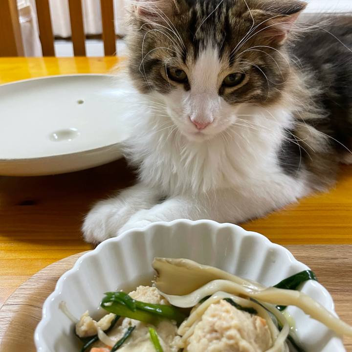 42d2c819 fc1a 4f2f acbe d6599fcbf37c 1635157239399