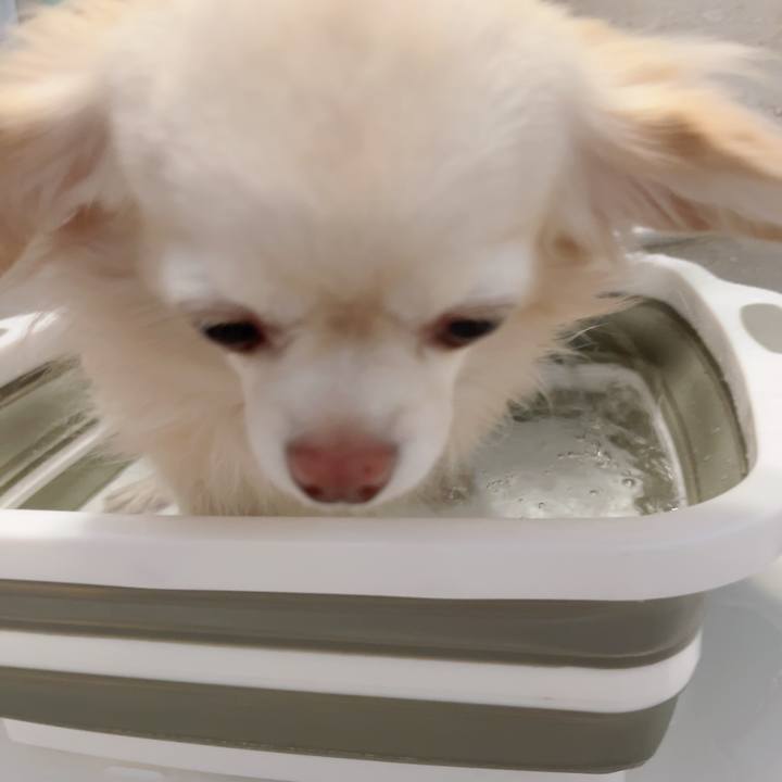 42d2ce0f b9d5 4113 a704 73cd84682081 1731331032737