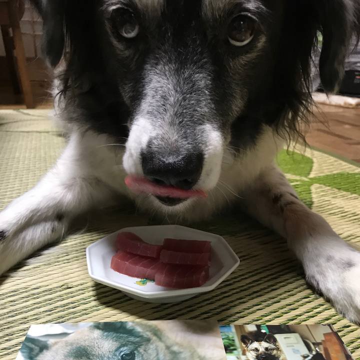 42d2ef9e 3ceb 432c 959f f38e55061189 1534409842807