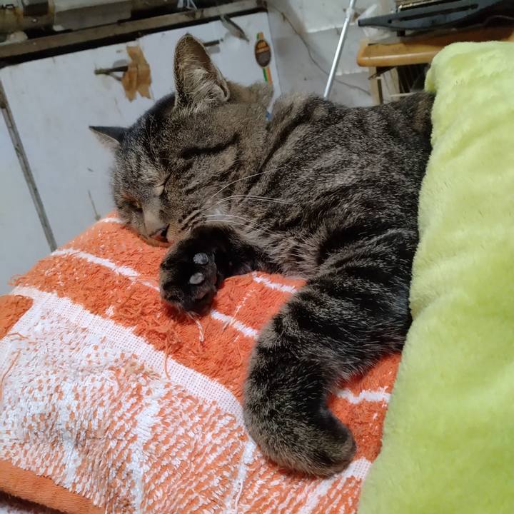 42d336e7 0d20 4f1e a51b 1932c503b7e1 1700048430732