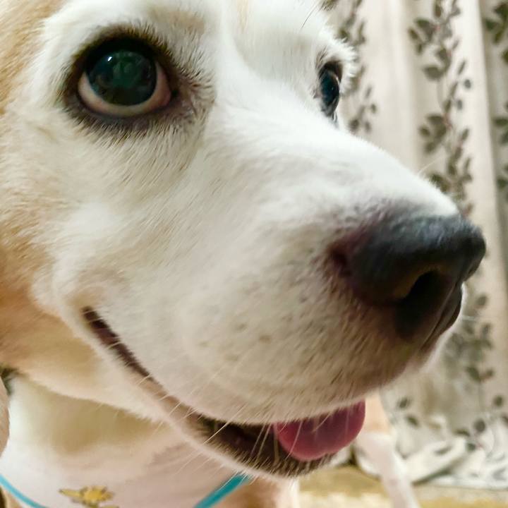 42d33e9d 4915 4a8c 840d 196d74d543eb 1627704154352