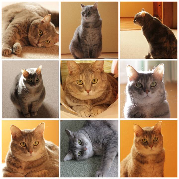 42d38ddb 8516 40de ba7f af637c5c215e 1601165062779