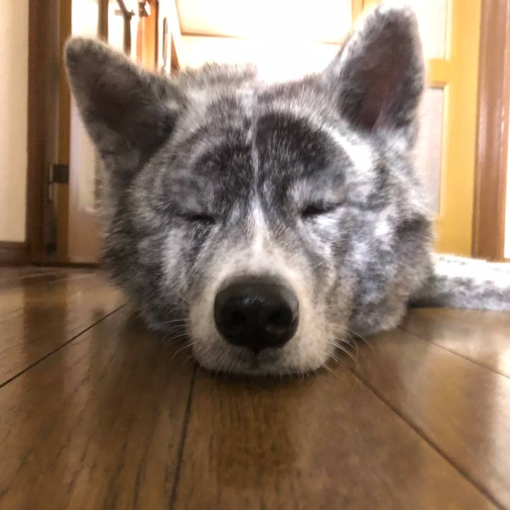 42d39bfb f302 4ff9 89c0 5effe8bccba1 1577834929282