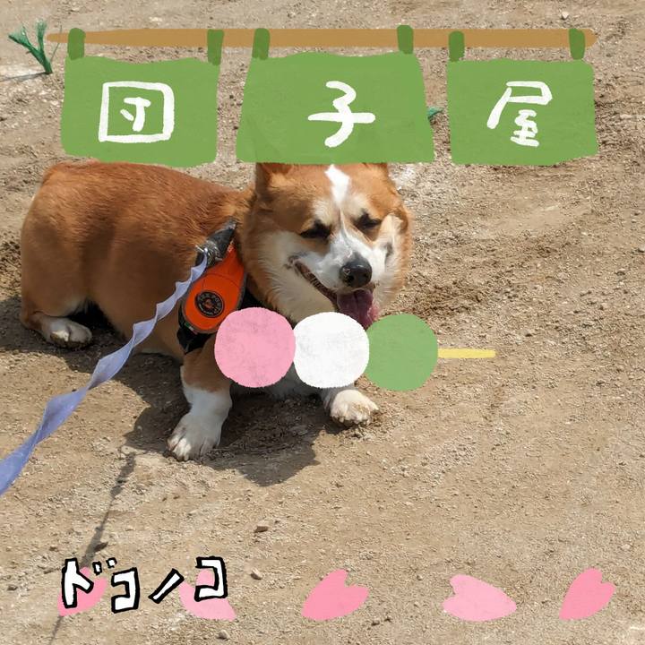 42d3c53d 9bfb 43e7 adbc 514b6dc446ba 1712318814007