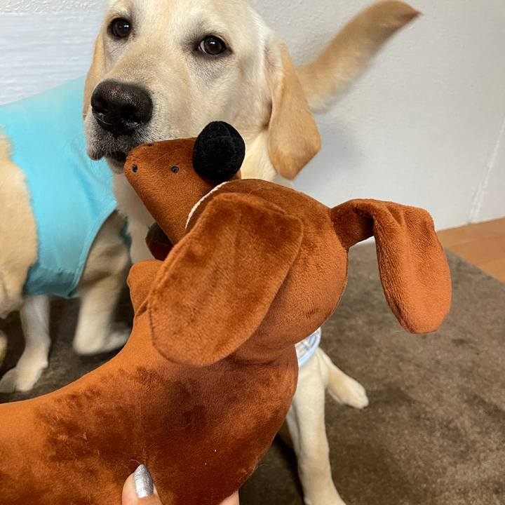 42d3e91a 1a28 436a 8f90 2c8c1aa1f5be 1621837097684