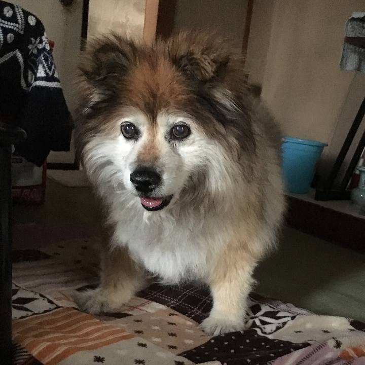 42d3f1d4 52ed 443c 8ba3 8cb1747bc9da 1565392740210