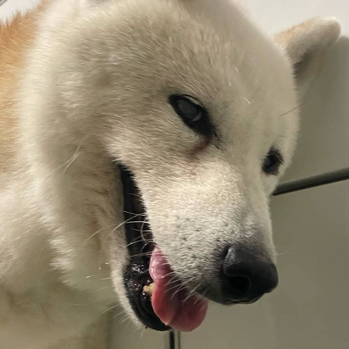 42d3ff19 4de6 48f5 b966 f48b256b7d9c 1760145836790