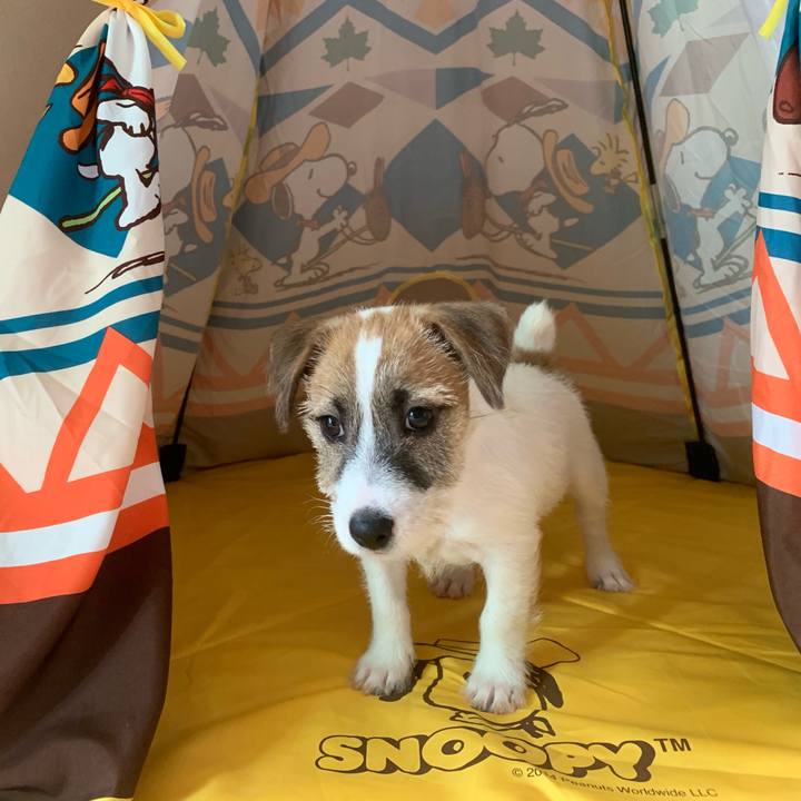 42d422ee 0654 4bfe bd04 1282a58e9a89 1559608107728