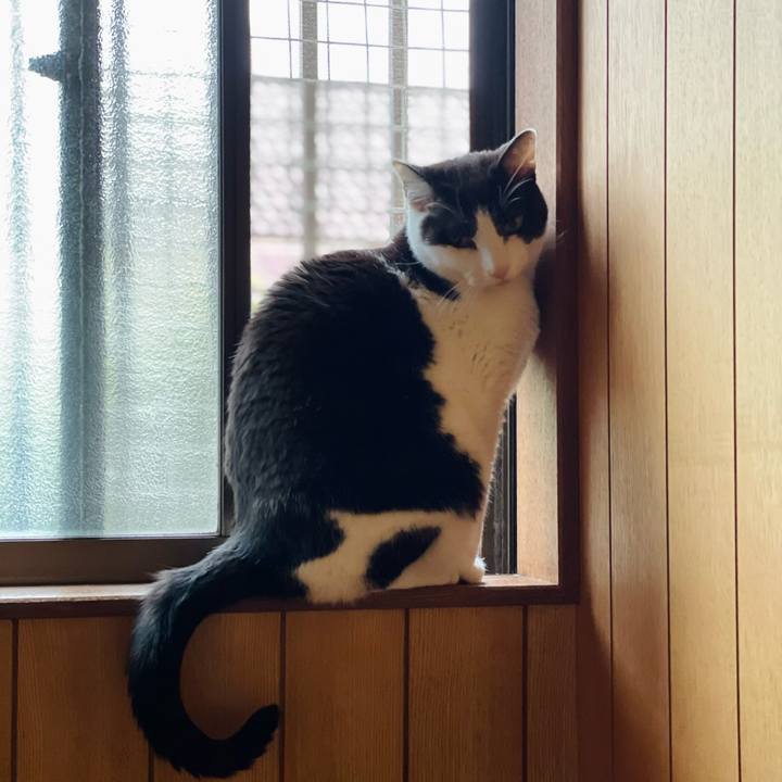 42d48a18 6ed4 4aa3 8b09 3ecb073915c8 1655692662440